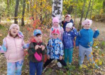 Поход в лес
